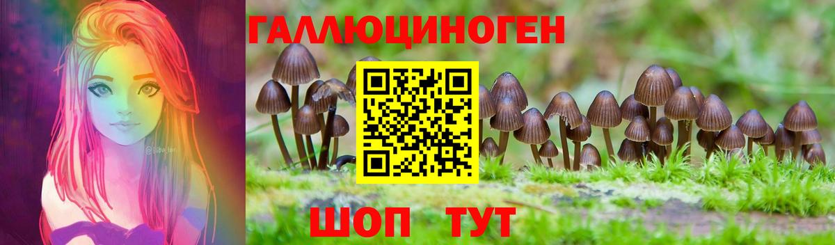 Брянск  Галлюциногенные грибы Cubensis  Вход с VPN 